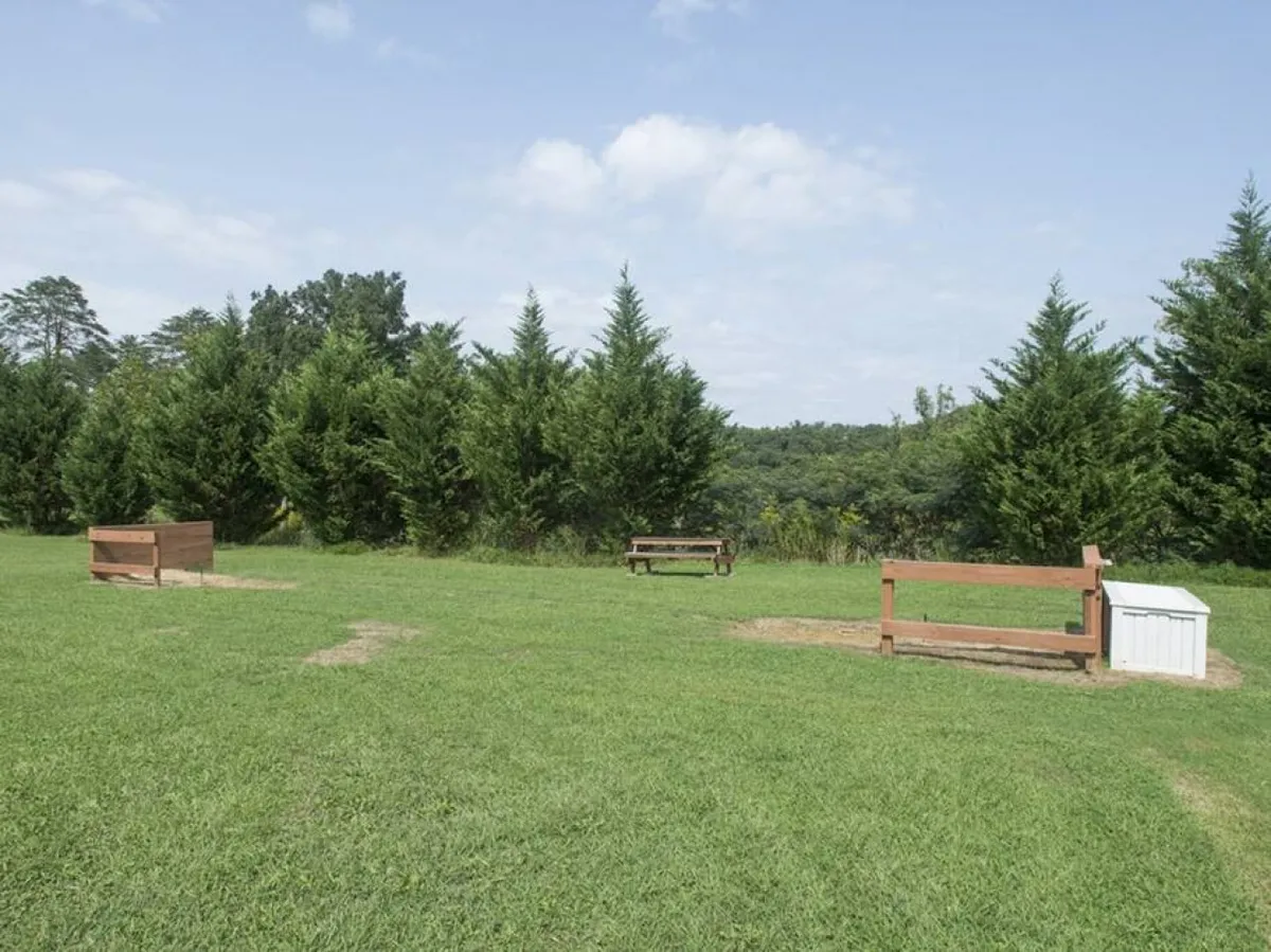 This image presents a peaceful outdoor setting featuring wooden benches and an expansive grassy area surrounded by trees. The open, natural space is ideal for group picnics, outdoor games, and casual family gatherings.