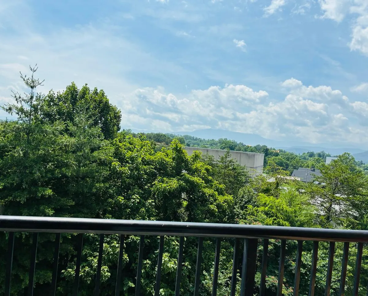 A serene balcony or terrace scene with lush green trees, distant mountains, and a clear blue sky, suggesting the opportunity to enjoy nature from the comfort of the accommodation. The setting is ideal for unwinding, wildlife watching, or simply soaking in the scenic beauty.