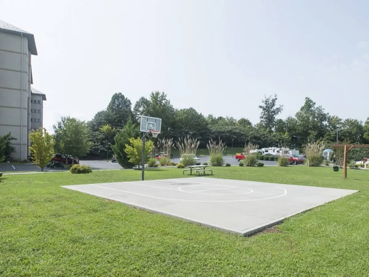 A vibrant outdoor basketball court with a hoop, set amidst green grass and surrounded by trees, capturing the energy of friendly games and the communal spirit of the property's amenities.